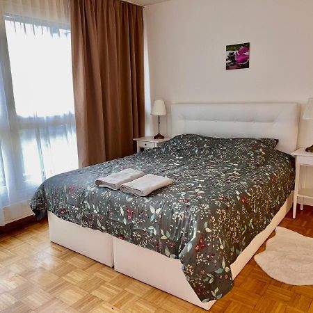 Comfort Appartment 2 Schafzimmer Basel Eksteriør bilde