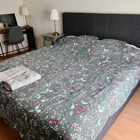 Comfort Appartment 2 Schafzimmer Basel Eksteriør bilde