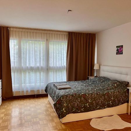 Comfort Appartment 2 Schafzimmer Basel Eksteriør bilde