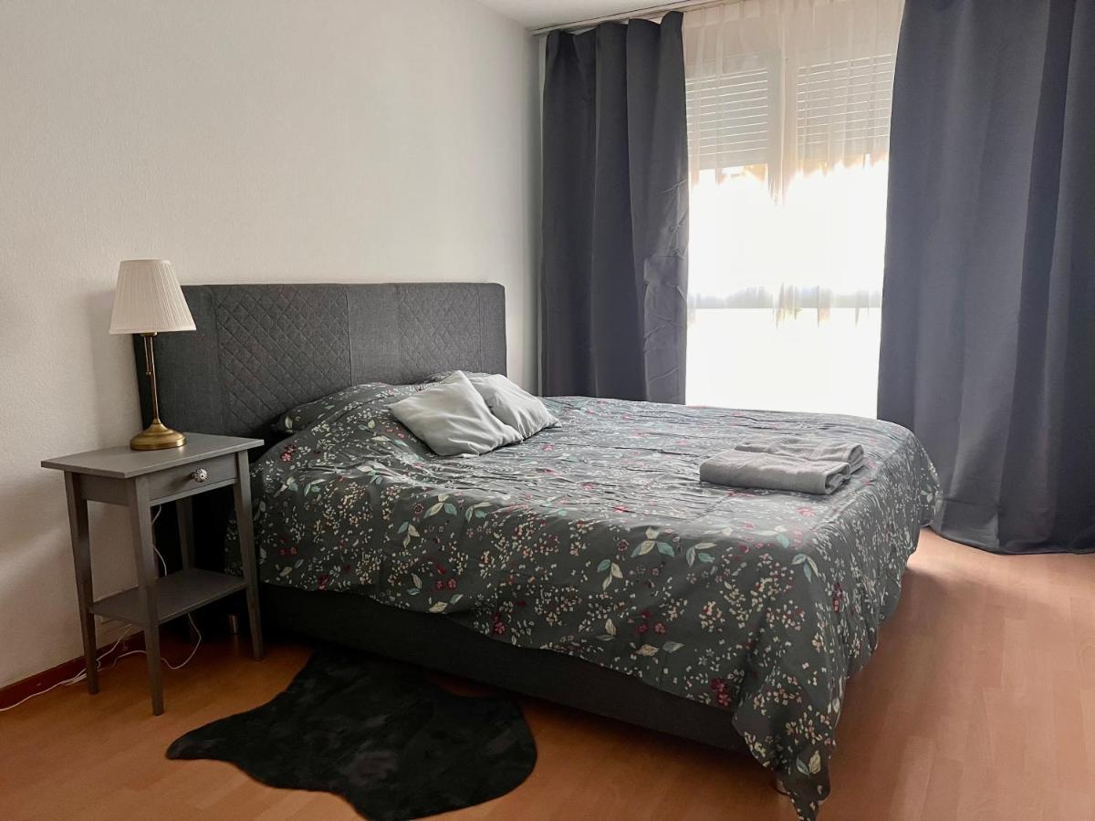 Comfort Appartment 2 Schafzimmer Basel Eksteriør bilde