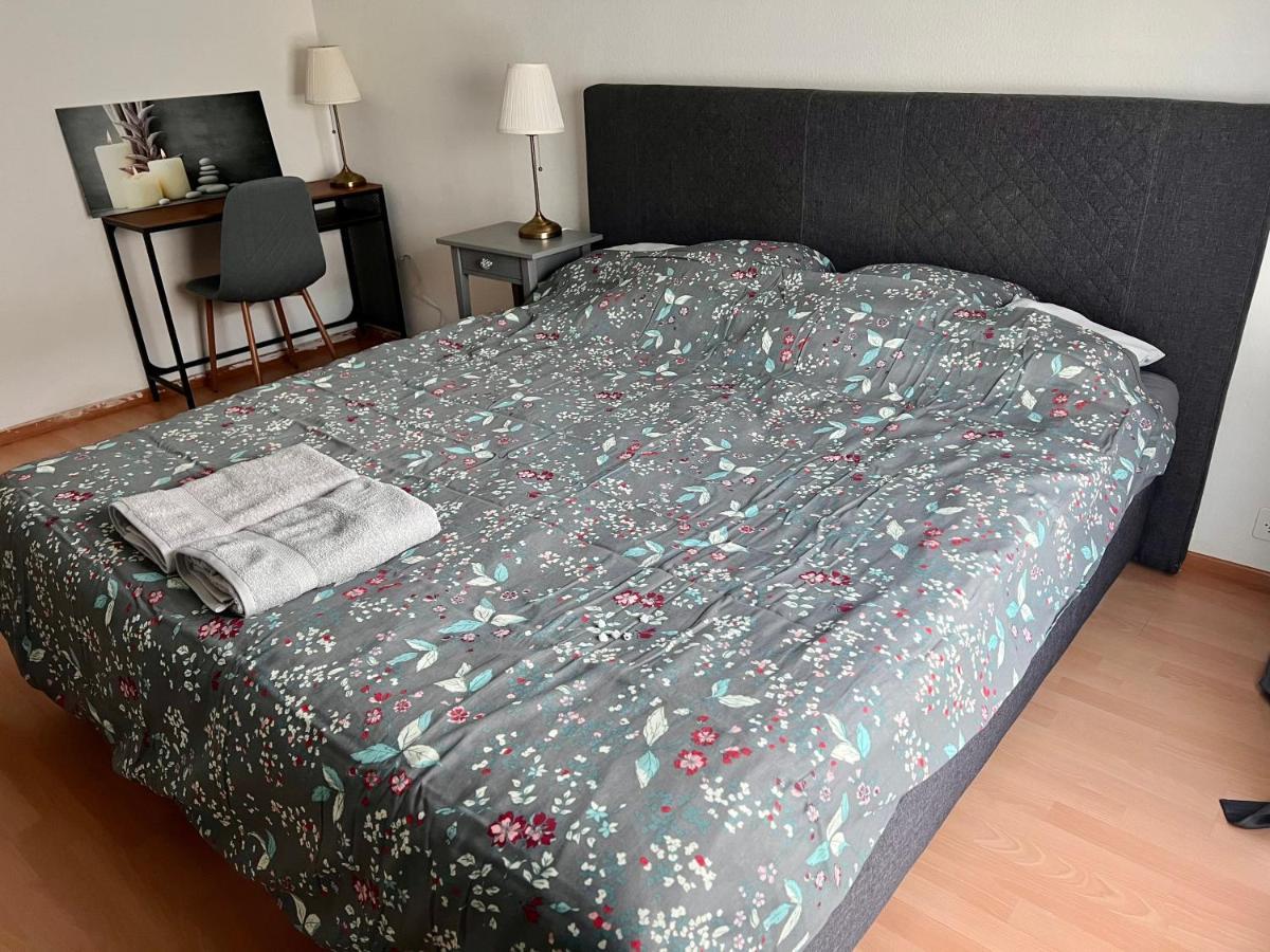 Comfort Appartment 2 Schafzimmer Basel Eksteriør bilde